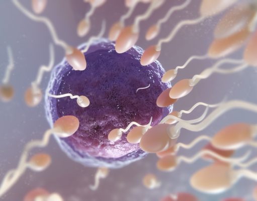 Kualitas Sperma Menurun, Dampak Polusi dan Mikroplastik pada Kesehatan Reproduksi Ilustrasi penurunan sperma - sumber foto FREEPIK