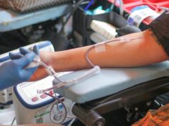 Harper MT Haryono Rayakan 9 Tahun dengan Aksi Donor Darah Bersama RSCM Harper MT Haryono Rayakan 9 Tahun dengan Aksi Donor Darah Bersama RSCM