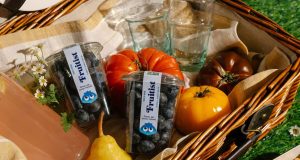 Fruitist, “Berry Unicorn” Asal AS yang Raup US$1 Miliar dari Bisnis Blueberry Siap Santap startup blueberry Fruitist - sumber foto Fruitist