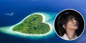 ilustrasi fans belikan pulau untuk Jeonghan SEVENTEEN - sumber foto Istimewa