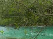 Fenomena Langka di Sumatera Barat: Sungai Ombilin Mendadak Biru Jernih Seperti Swiss, Warga Terpukau Sungai Ombilin Mendadak Biru - sumber foto Instagram