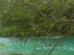 Fenomena Langka di Sumatera Barat: Sungai Ombilin Mendadak Biru Jernih Seperti Swiss, Warga Terpukau Sungai Ombilin Mendadak Biru - sumber foto Instagram