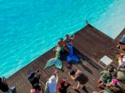 Pesona Natal di Natra Bintan: Pertunjukan Mermaid Pertama di Laguna Air Asin Bintan Curi Perhatian Pesona Natal di Natra Bintan: Pertunjukan Mermaid - sumber foto Natra Bintan