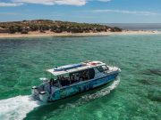Coral Coast Australia Barat: Road Trip Menyusuri Pantai Toska, Gurun Ikonik, hingga Langit Penuh Bintang