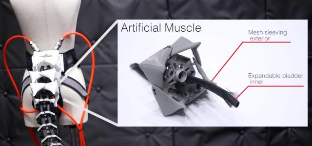 Arque Ekor Robotik Keio University - sumber foto Youtube Yame Saraiji Arque Ekor Robotik Keio University - sumber foto Youtube Yame Saraiji