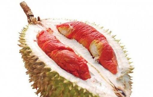 Langka dan Bernilai Tinggi, Durian Merah Banyuwangi Jadi Durian Pertama di Indonesia yang Dilindungi Langka dan Bernilai Tinggi, Durian Merah Banyuwangi Jadi Durian Pertama di Indonesia yang Dilindungi