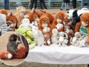 Viral Bayi Monyet Punch Peluk Boneka IKEA, Presiden IKEA Jepang Datang Langsung ke Kebun Binatang Ichikawa Bayi Monyet Punch Peluk Boneka IKEA - sumber foto Google