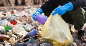 Terinspirasi Singapura, Jusuf Kalla Usul Sistem Denda Demi Kota Lebih Bersih