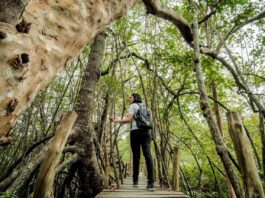 Wamenpar Tegaskan Pariwisata Berkelanjutan Jadi Fondasi Daya Saing Global Indonesia