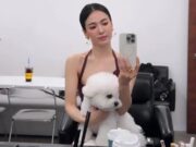 Song Hye Kyo Bagikan Momen di Lokasi Syuting, Chemistry dengan Anjing Kesayangan Jadi Sorotan Song Hye Kyo Bagikan Momen di Lokasi Syuting, Chemistry dengan Anjing Kesayangan Jadi Sorotan
