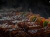 “Texas Meets Nusantara”, Sensasi All You Can Eat BBQ Unik di Bandung Mulai Rp128 Ribuan “Texas Meets Nusantara”, Sensasi All You Can Eat BBQ Unik di Bandung Mulai Rp128 Ribuan