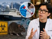Kasus Hantavirus di Kapal Pesiar Jadi Sorotan Dunia, dr. Tirta Mandira Hudhi Imbau Masyarakat Tidak Panik ilustrasi dr. Tirta himbau masyarakat mengenai Kasus Hantavirus di Kapal Pesiar - sumber foto Istimewa