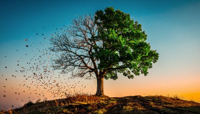 El Nino Diprediksi Jadi Salah Satu Terkuat dalam Sejarah - sumber foto Istimewa El Nino Diprediksi Jadi Salah Satu Terkuat dalam Sejarah - sumber foto Istimewa