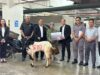 Sambut Idul Adha 1447 H, Swiss-Belinn Manyar Surabaya Serahkan Hewan Kurban untuk Warga Sekitar Sambut Idul Adha 1447 H, Swiss-Belinn Manyar Surabaya Serahkan Hewan Kurban - sumber foto istimewa