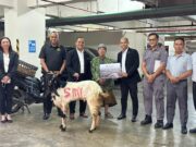 Sambut Idul Adha 1447 H, Swiss-Belinn Manyar Surabaya Serahkan Hewan Kurban untuk Warga Sekitar Sambut Idul Adha 1447 H, Swiss-Belinn Manyar Surabaya Serahkan Hewan Kurban - sumber foto istimewa