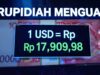 Ekonom Ungkap Strategi Perkuat Rupiah, Koordinasi BI dan Pemerintah Jadi Kunci Stabilitas Ekonomi 1 dollar AS terpantau berada di angka Rp17.909,98. - sumber foto istrimewa