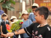 Rayakan Hari Anak Nasional, All Sedayu Hotel Kelapa Gading Ajak Anak Panti Belajar di Birdland Ancol dan Berbagi Kebahagiaan ll Sedayu Hotel Kelapa Gading Ajak Anak Panti Belajar - sumber foto istimewa