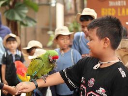 Rayakan Hari Anak Nasional, All Sedayu Hotel Kelapa Gading Ajak Anak Panti Belajar di Birdland Ancol dan Berbagi Kebahagiaan ll Sedayu Hotel Kelapa Gading Ajak Anak Panti Belajar - sumber foto istimewa