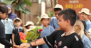 ll Sedayu Hotel Kelapa Gading Ajak Anak Panti Belajar - sumber foto istimewa