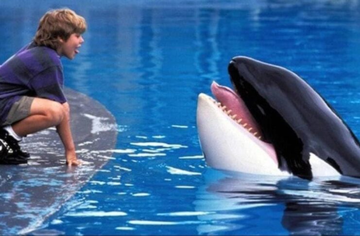 Nostalgia 90-an Kembali, Warner Bros. Garap Ulang Film Legendaris Free Willy Gandeng Anthony dan Joe Russo