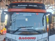 Kupang ke Timor Leste Jalur Darat? Ini Tips Ampuh Anti-Mual Biar Perjalanan 12 Jam Tetap Seru! Kupang ke Timor Leste Jalur Darat? Ini Tips Ampuh Anti-Mual Biar Perjalanan 12 Jam Tetap Seru!