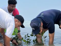 Somerset Berlian Jakarta Tanam 2.000 Mangrove di Kepulauan Seribu, Wujud Nyata Rayakan World Mangrove Day 2026 Somerset Berlian Jakarta Tanam 2.000 Mangrove di Kepulauan Seribu - sumber foto istimewa