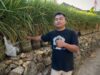 Tidak Punya Sawah? Tapi Mau Panen Padi, Ini Kisah Susanto Warga Gunungkidul Susanto Warga Gunungkidul - sumber foto Instagram