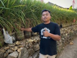 Susanto Warga Gunungkidul - sumber foto Instagram