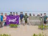 Kenapa 2.000 Bibit Mangrove Ditanam Ascott Indonesia di Pulau Tidung Kecil? Ini Alasannya 2.000 Bibit Mangrove Ditanam Ascott Indonesia - sumber foto istimewa