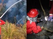 Karhutla Bromo Meluas, 176 Hektare TNBTS Terbakar: Gunung Bromo Ditutup Total Mulai 8 Agustus Karhutla Gunung Bromo - sumber foto instagram/balaidalkarhutjabalnusa