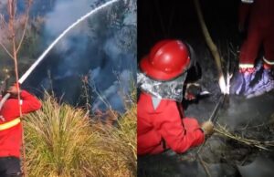 Karhutla Bromo Meluas, 176 Hektare TNBTS Terbakar: Gunung Bromo Ditutup Total Mulai 8 Agustus Karhutla Gunung Bromo - sumber foto instagram/balaidalkarhutjabalnusa