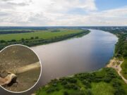Sungai Danube Mendadak Surut, Isi Dasarnya Bikin Geger: Ada Fosil Mammoth hingga Kapal Perang Sungai Danube Mendadak Surut - sumber foto Freepik