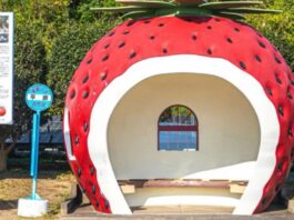 Halte Bus Berbentuk Buah di Nagasaki - sumber foto X