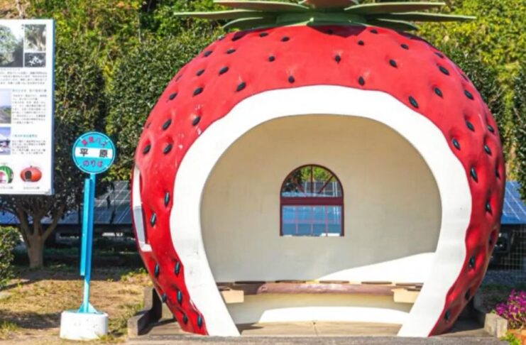 Halte Bus Berbentuk Buah di Nagasaki - sumber foto X