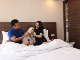 Liburan ke Jakarta Selatan Bareng Keluarga dan Anabul? Somerset Kencana Punya Hunian yang Pet Friendly Living pet friendly living staycation bareng keluarga tanpa harus meninggalkan anabul