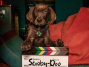 Scooby-Doo Live Action Resmi Rampung Syuting, Siap Tayang di Netflix 2027 Scooby-Doo Origins - sumber foto Netflix