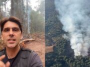Chanee Kalaweit Ingatkan Sekat Bakar Jangan Jadi Jalan Baru Pembukaan Hutan Chanee Kalaweit Ingatkan Sekat Bakar Jangan Jadi Jalan Baru Pembukaan Hutan - sumber foto instagram/chaneekalaweit