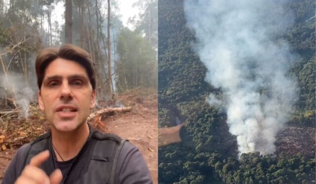 Chanee Kalaweit Ingatkan Sekat Bakar Jangan Jadi Jalan Baru Pembukaan Hutan - sumber foto instagram/chaneekalaweit Chanee Kalaweit Ingatkan Sekat Bakar Jangan Jadi Jalan Baru Pembukaan Hutan - sumber foto instagram/chaneekalaweit